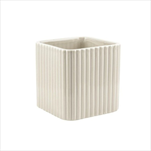 Obal 7 x 6,8 x 6,8 cm krémový - velkoobchod, dovoz květin, řezané květiny Brno