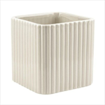 Obal 11,6 x 11,5 x 11,5 cm krémový - velkoobchod, dovoz květin, řezané květiny Brno