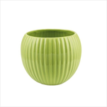 Obal pr. 16/v. 13,5 cm zelený - velkoobchod, dovoz květin, řezané květiny Brno