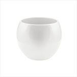 Obal pr. 12,5/v. 10 cm bílý - velkoobchod, dovoz květin, řezané květiny Brno