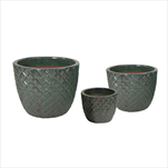 Glazed Egg Pineapple Celadon S3 D22/38H18/30 - velkoobchod, dovoz květin, řezané květiny Brno