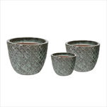 Glazed Egg Pineapple Moss green S3 D22/38H18/30 - velkoobchod, dovoz květin, řezané květiny Brno