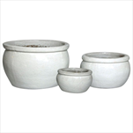 Glazed Bavaria White S3 D26/47 H17/28 - velkoobchod, dovoz květin, řezané květiny Brno