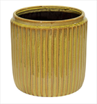 Hamlet Cylinder Mimosa D14H14 - velkoobchod, dovoz květin, řezané květiny Brno