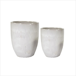 Obal Glazed Egg white S2 D35/45H44/54 - velkoobchod, dovoz květin, řezané květiny Brno