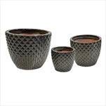 Glazed Egg Pineapple Falling brown S3 D22/38H18/30 - velkoobchod, dovoz květin, řezané květiny Brno