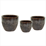 Antique 2Tone Egg Vulcano S3 D30/48H24/41 - velkoobchod, dovoz květin, řezané květiny Brno