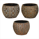 Obal Armor belly mix color D21H16,5 - velkoobchod, dovoz květin, řezané květiny Brno