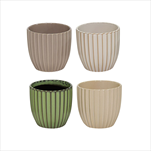 Obal Pacific Rib Egg mix D11,5H12 - velkoobchod, dovoz květin, řezané květiny Brno