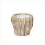 Obal Fave Fold Jade D12H10,5 - velkoobchod, dovoz květin, řezané květiny Brno