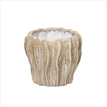 Obal Fave Fold Jade D15H14 - velkoobchod, dovoz květin, řezané květiny Brno