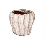 Obal Fave Fold White D15H14 - velkoobchod, dovoz květin, řezané květiny Brno