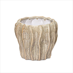 Obal Fave Fold Jade D20H18 - velkoobchod, dovoz květin, řezané květiny Brno