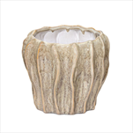 Obal Fave Fold Jade D23H20 - velkoobchod, dovoz květin, řezané květiny Brno