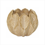 Miska Ida beige D16H13 - velkoobchod, dovoz květin, řezané květiny Brno