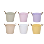 Obal Dorset mix soft colors D25H21 - velkoobchod, dovoz květin, řezané květiny Brno