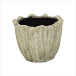 Obal Julliet Tulp green D20H16 - velkoobchod, dovoz květin, řezané květiny Brno