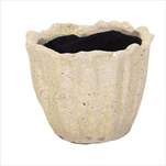 Obal Julliet Tulp yellow D25H20 - velkoobchod, dovoz květin, řezané květiny Brno