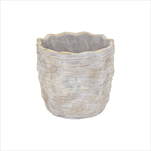 Obal Rivoli White D9H8 - velkoobchod, dovoz květin, řezané květiny Brno