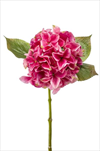 Uk Hydrangea 47cm tm. růžová - velkoobchod, dovoz květin, řezané květiny Brno