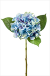 Uk Hydrangea 47cm modrá - velkoobchod, dovoz květin, řezané květiny Brno