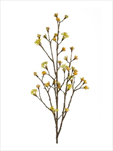 Uk větvička yellow 110cm - velkoobchod, dovoz květin, řezané květiny Brno