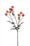 Uk Rose hips 65cm oranž - velkoobchod, dovoz květin, řezané květiny Brno