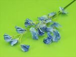 Uk lathyrus X3 63cm blue - velkoobchod, dovoz květin, řezané květiny Brno