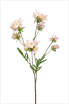 Uk Verbena 68cm pink - velkoobchod, dovoz květin, řezané květiny Brno