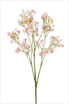 Uk gypsophila 68cm růžová - velkoobchod, dovoz květin, řezané květiny Brno