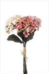Uk hydrangea X3/48cm růžovokrémová - velkoobchod, dovoz květin, řezané květiny Brno