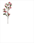 Uk Magnolia 87cm fuchsiová - velkoobchod, dovoz květin, řezané květiny Brno