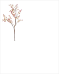 Uk Tiny flower 95cm růžová - velkoobchod, dovoz květin, řezané květiny Brno