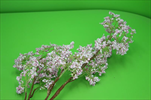 Uk Tiny flower 95cm fialová - velkoobchod, dovoz květin, řezané květiny Brno