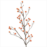 Uk větev eonymus 68 cm oranžová - velkoobchod, dovoz květin, řezané květiny Brno