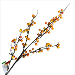 Uk větev ilex 90 cm oranžová - velkoobchod, dovoz květin, řezané květiny Brno