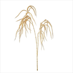 Uk amaranthus X2 stříbrnozlatý - velkoobchod, dovoz květin, řezané květiny Brno