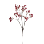 Uk gypsophilla 68 cm růžová - velkoobchod, dovoz květin, řezané květiny Brno