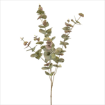 Uk eucalyptus 97 cm zeleno-šedý - velkoobchod, dovoz květin, řezané květiny Brno