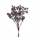 Uk bobule X3/60 cm fialové - velkoobchod, dovoz květin, řezané květiny Brno