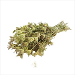 Nigella orientalis sušená 50 g natural - velkoobchod, dovoz květin, řezané květiny Brno