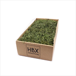 Tillandsie 350g tmavě zelená - velkoobchod, dovoz květin, řezané květiny Brno