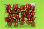Jablíčko zápich 35mm/24ks červená - velkoobchod, dovoz květin, řezané květiny Brno