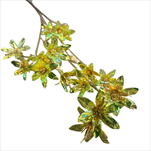 Pohanka umělá 92 cm žlutá holografická - velkoobchod, dovoz květin, řezané květiny Brno