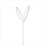 Zápich králičí ouška 58 cm zelená - velkoobchod, dovoz květin, řezané květiny Brno