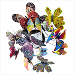 Motýl zápich mix vzorů 12 ks - velkoobchod, dovoz květin, řezané květiny Brno