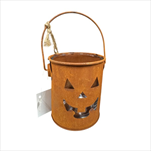 Dýně rusty lucerna  8 x 8 cm - velkoobchod, dovoz květin, řezané květiny Brno