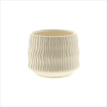 Obal Kari pr. 19/v. 15 cm krémový - velkoobchod, dovoz květin, řezané květiny Brno