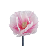 Magnolie květ pr.30 cm/v.35 cm sv. růžová - velkoobchod, dovoz květin, řezané květiny Brno