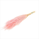 Helecho stabilizovaný 80 g/70 cm světle růžový - velkoobchod, dovoz květin, řezané květiny Brno